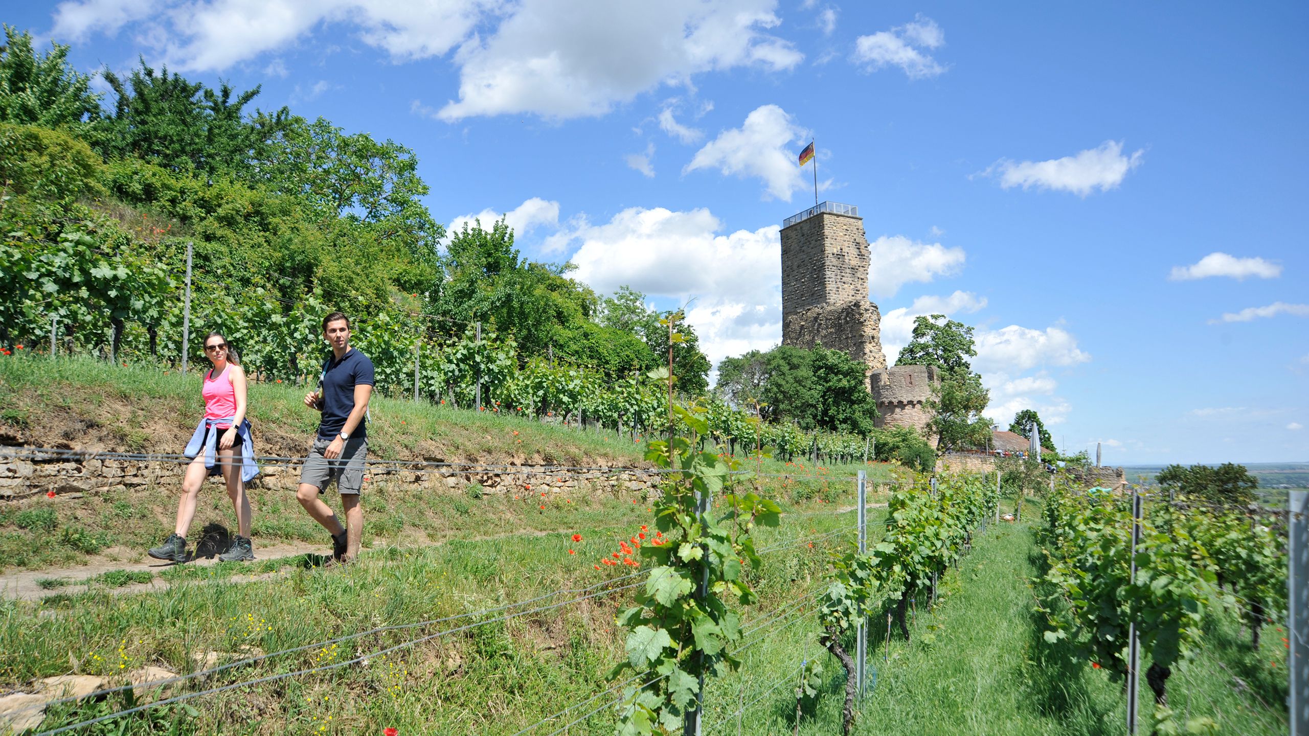 Premiumwanden M+H Verlag Saarbrücken Saarland Pfalz Pfälzerwald