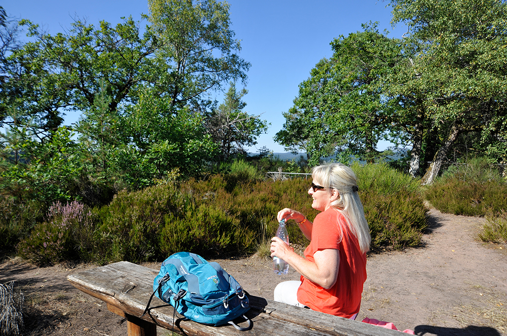 Premiumwandern Pirmasens Land Ruppertsweiler Arius Tour