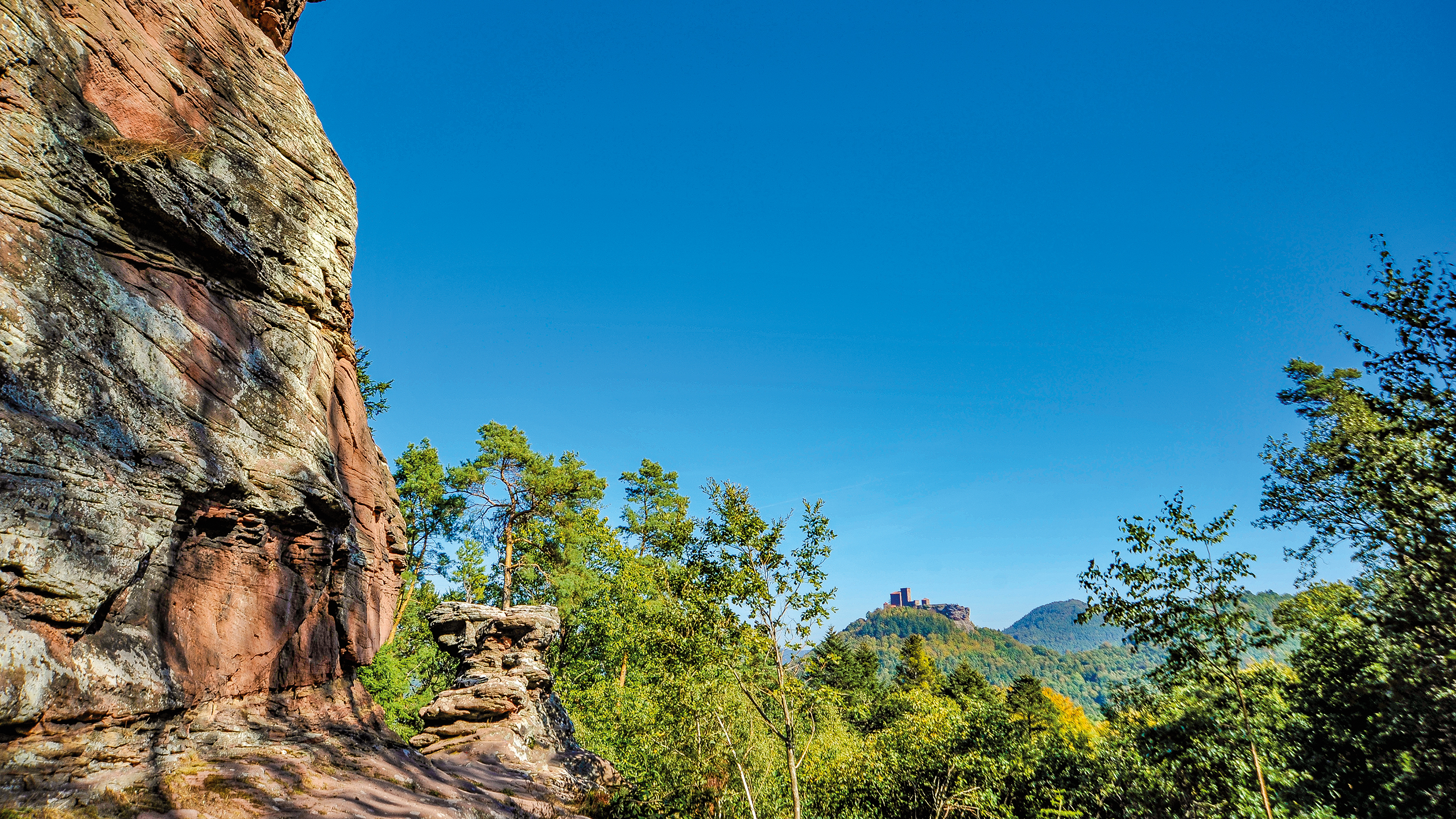 Premiumwandern Shop Ein Traum – Trifels-Blick bei Annweiler