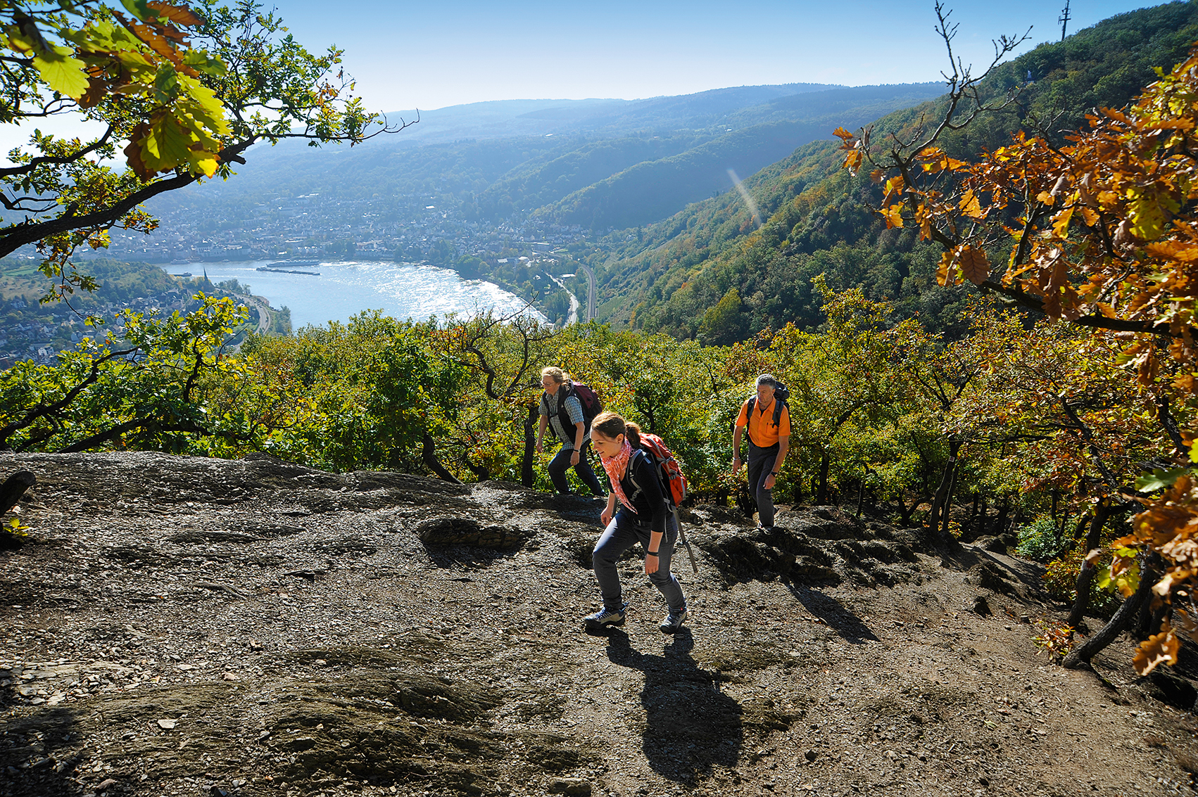 Blick auf die Rheinschleife von Boppard