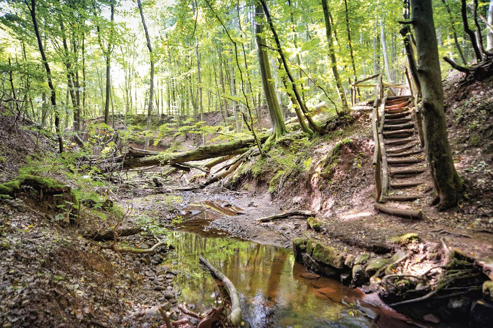 SAARWELLINGEN | Saarland