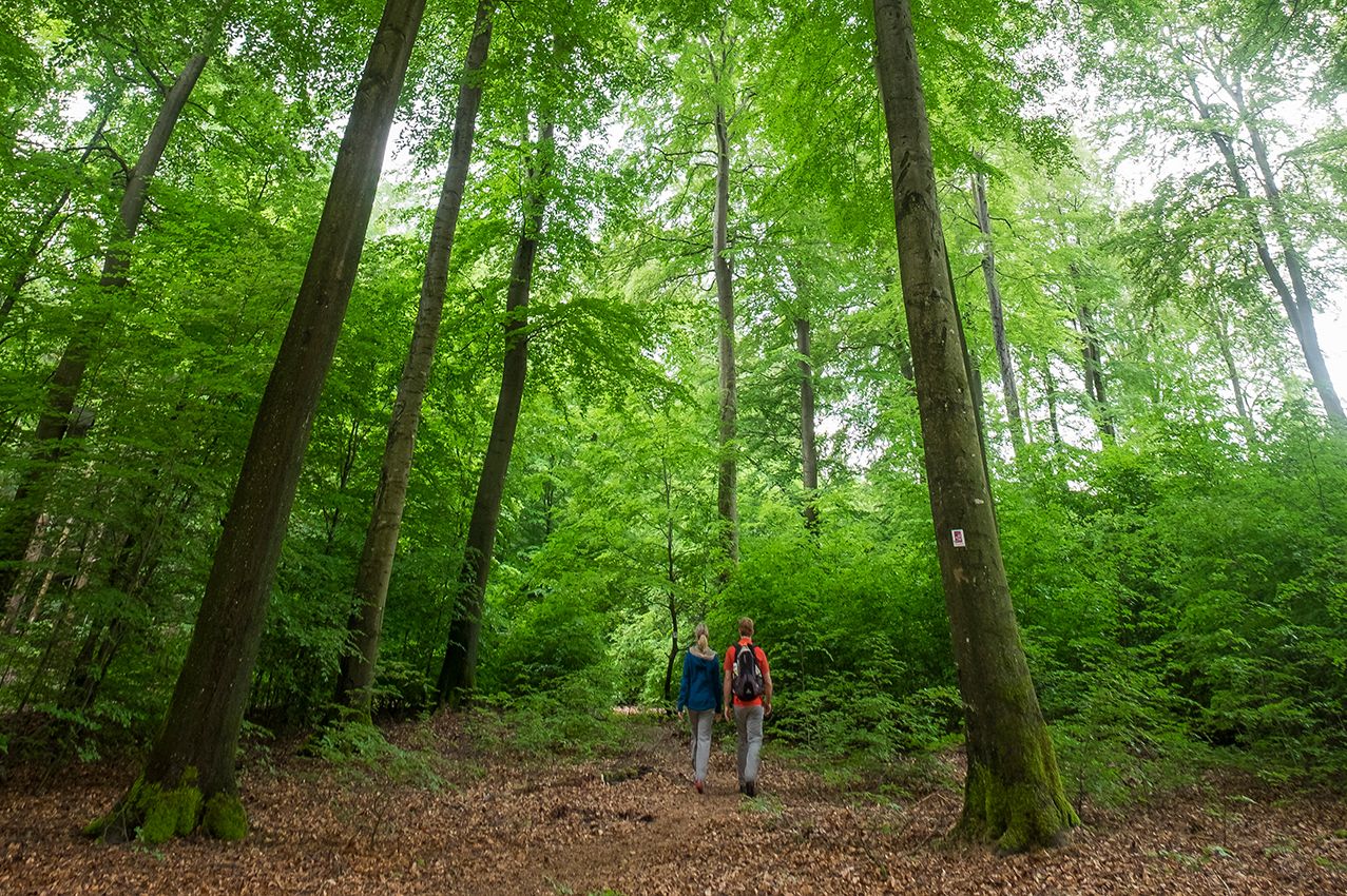 WEISKIRCHEN | Saarland