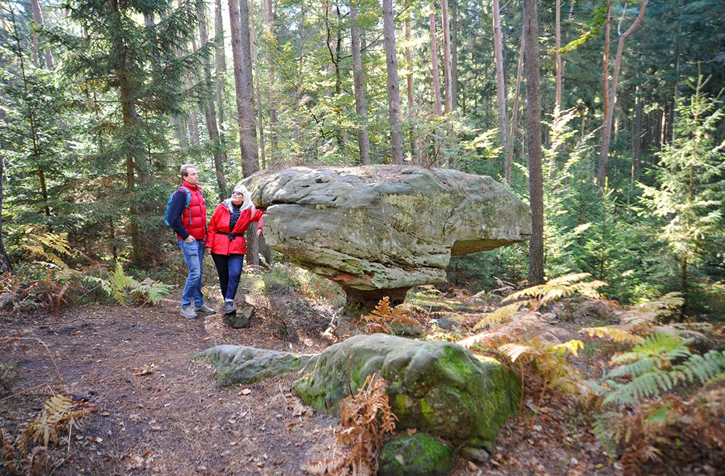 Premiumwandern Pirmasens Land Eulenfelstour