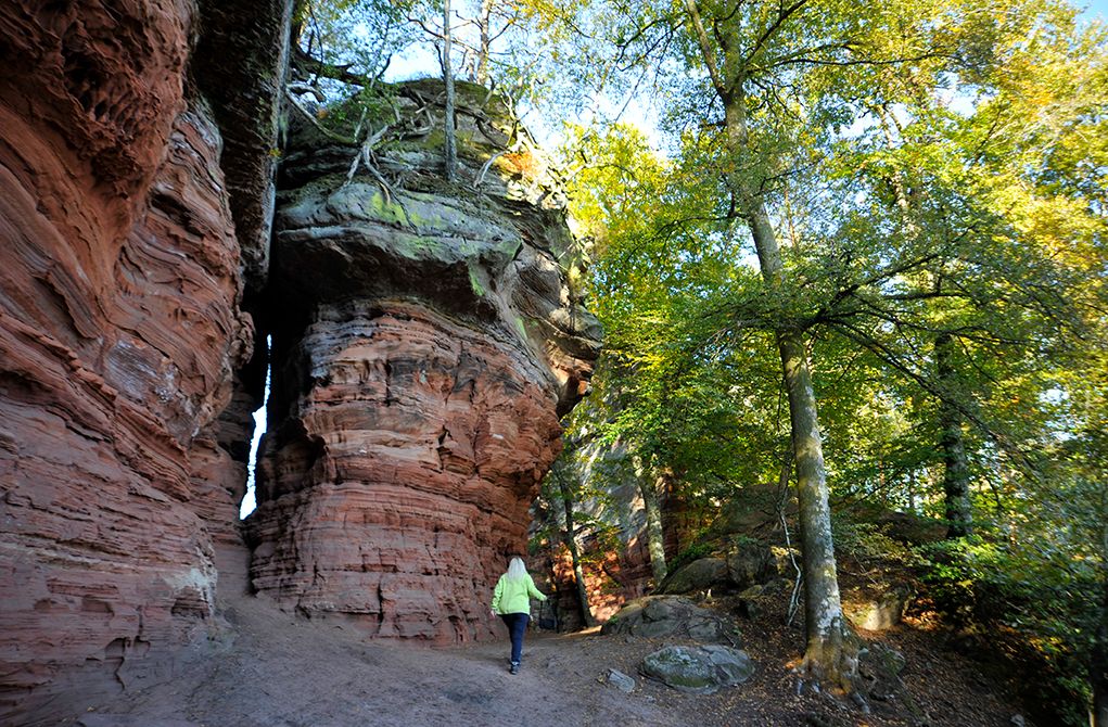 Premimwandern Pirmasens Land Altschloßpfad