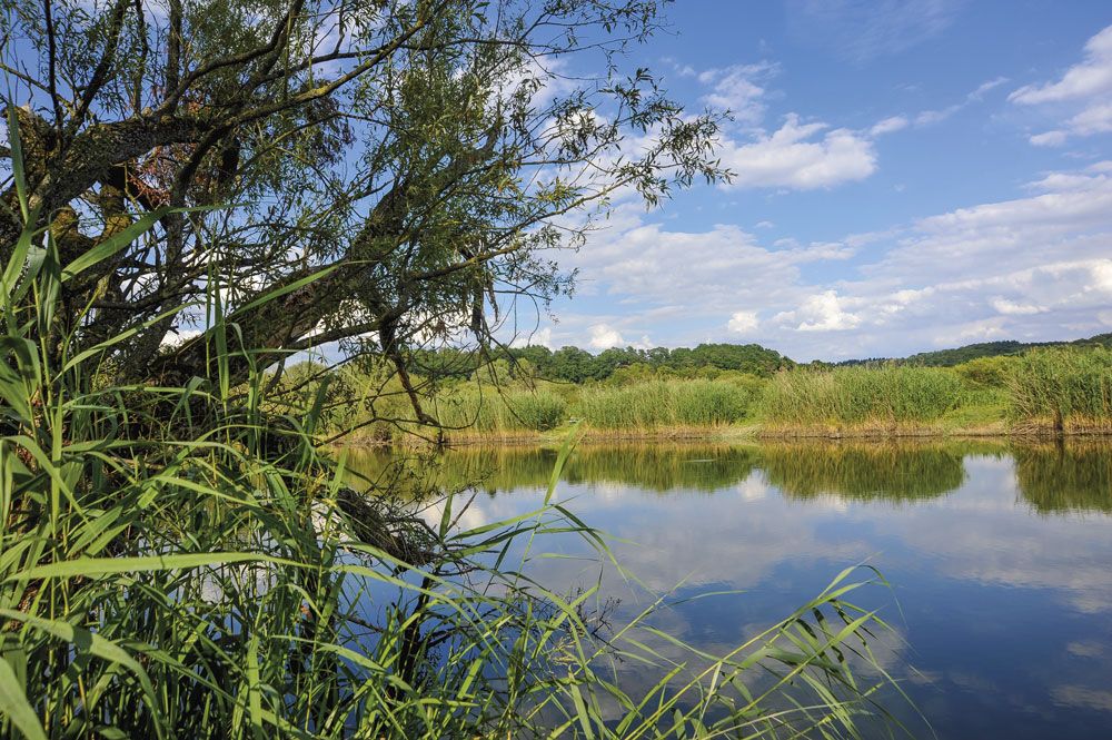 BECKINGEN | Saarland